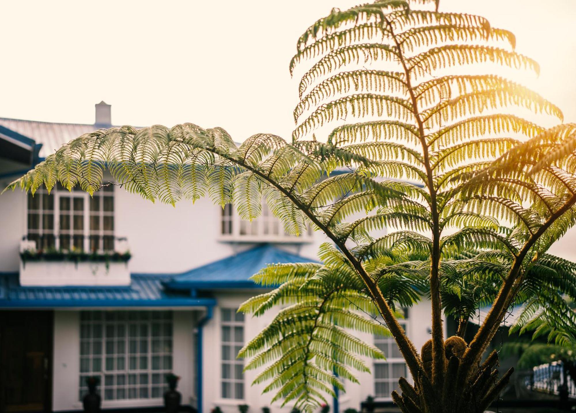 Aaradhya Nuwara Eliya Hotel Exterior photo